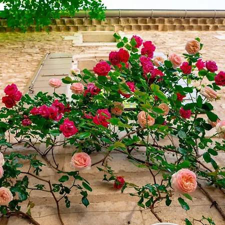 La Maison Du Village Guest house Saint-Remy-de-Provence